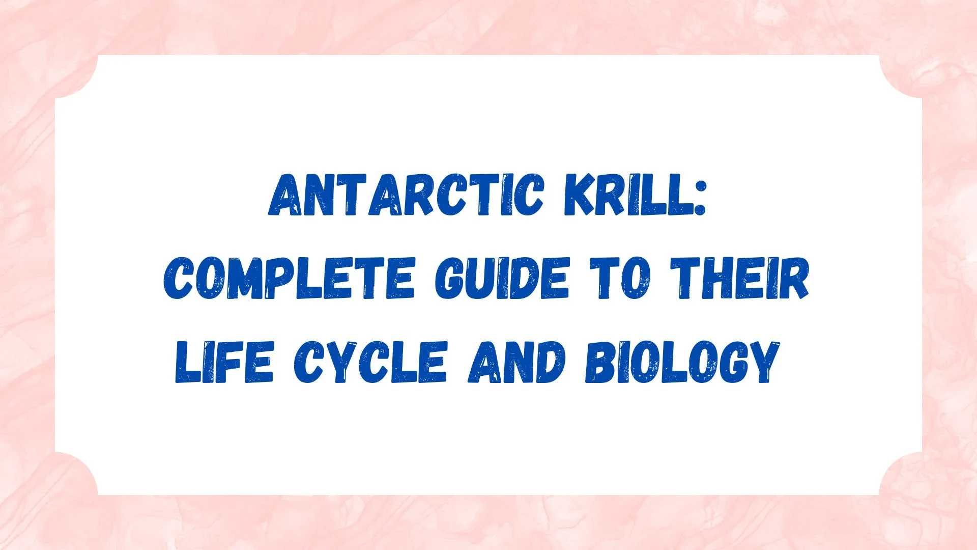 Antarctic Krill: Complete Guide to Their Life Cycle and Biology