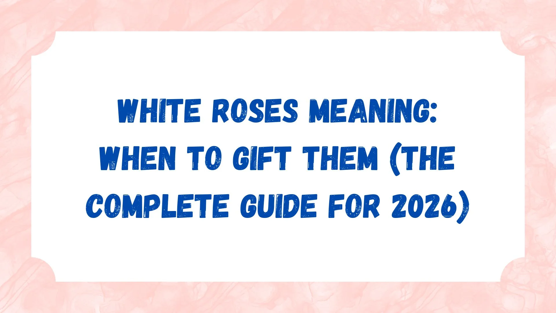 White Roses Meaning: When to Gift Them (The Complete Guide for 2026)
